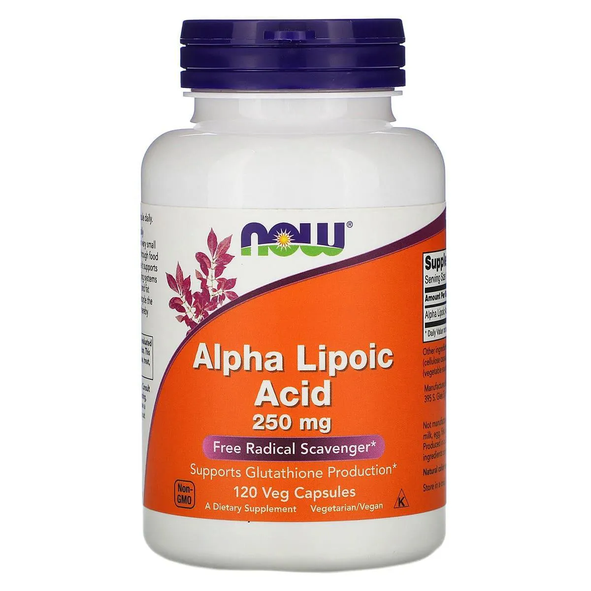 Acido Alpha Lipoico 250mg 120 Cápsulas - Now Foods