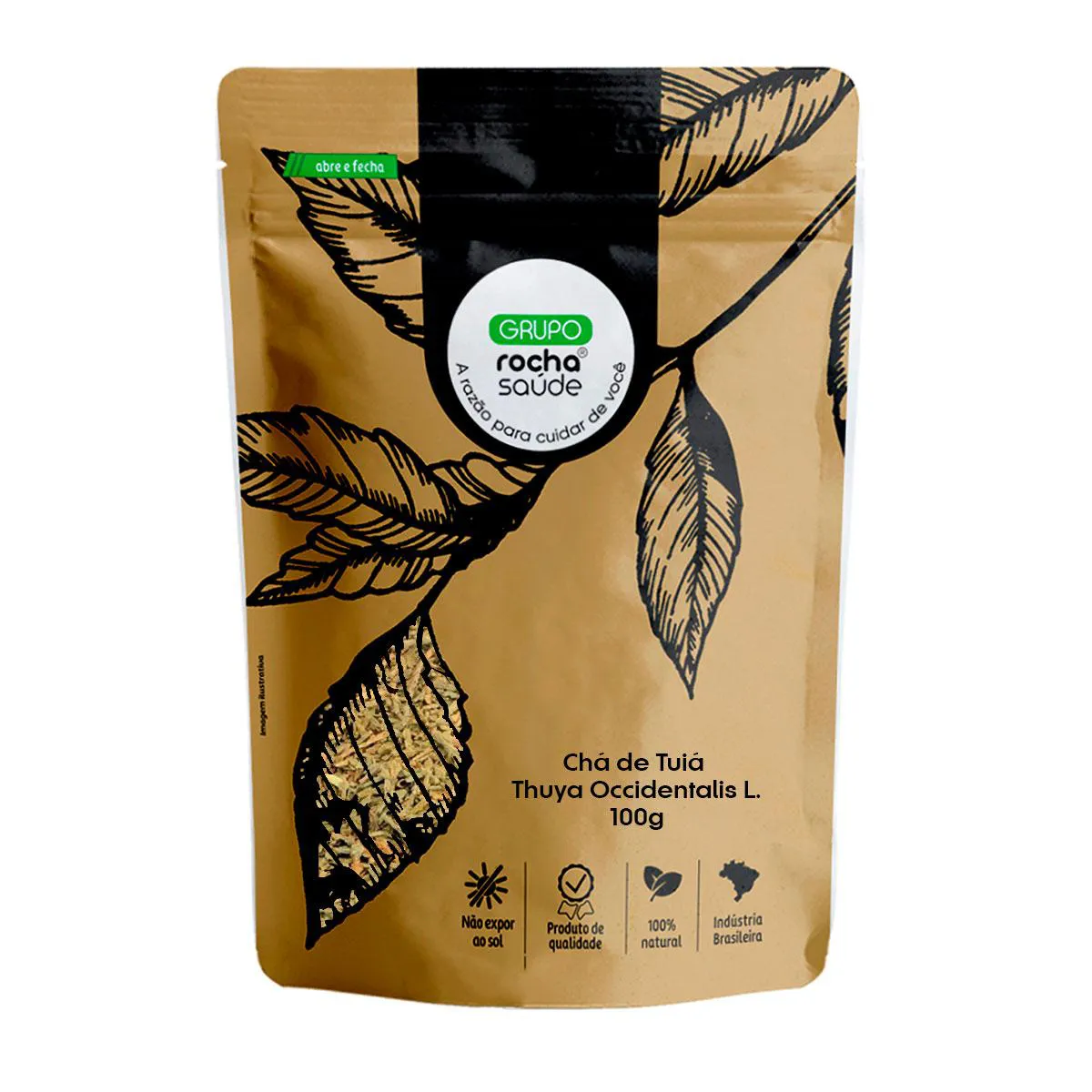 Chá de Tuiá - Thuya Occidentalis L. - 100G