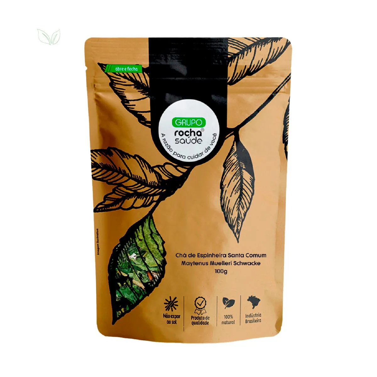 Chá de Espinheira Santa Comum - Sorocea Bonplandii - 100G