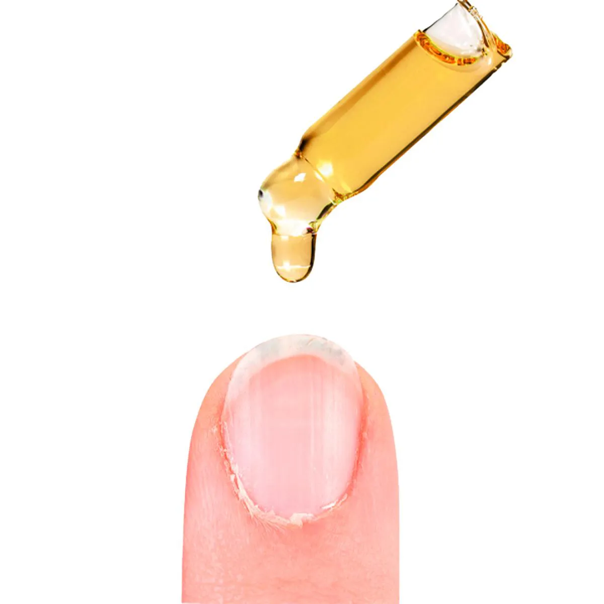 Blant Nutri Oil 3x1