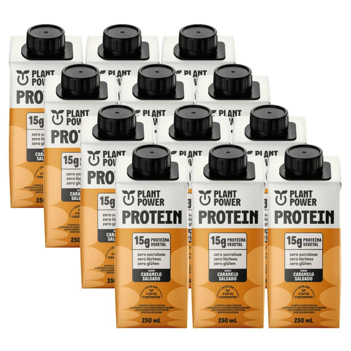 12x Bebida Vegetal 15g Protein Plant Power Caramelo Salgado 250ml