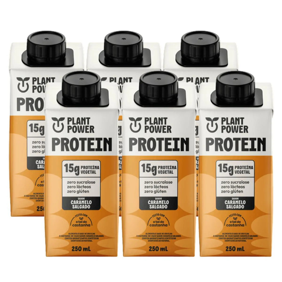 6x Bebida Vegetal 15g Protein Plant Power Caramelo Salgado 250ml