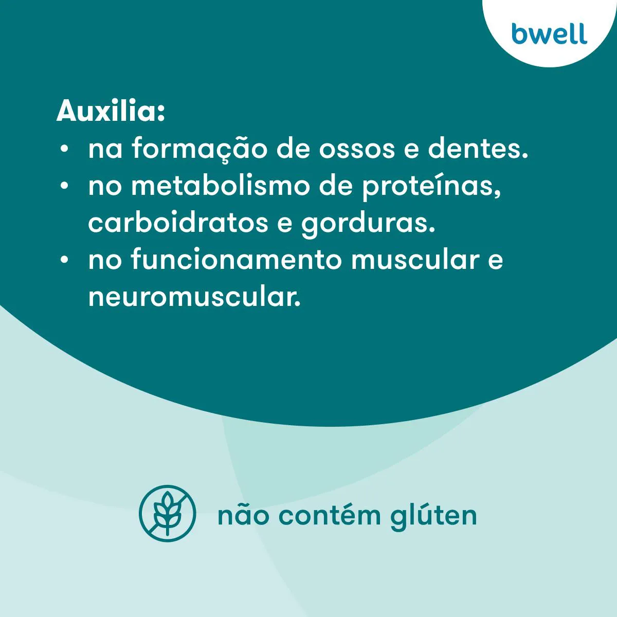 Di-Magnésio Malato 500mg bwell 60 Cápsulas