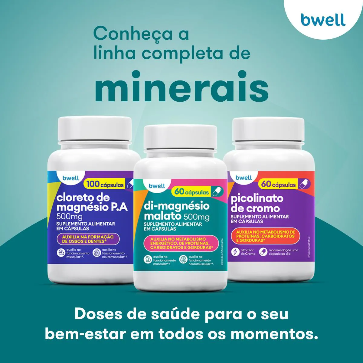 Di-Magnésio Malato 500mg bwell 60 Cápsulas