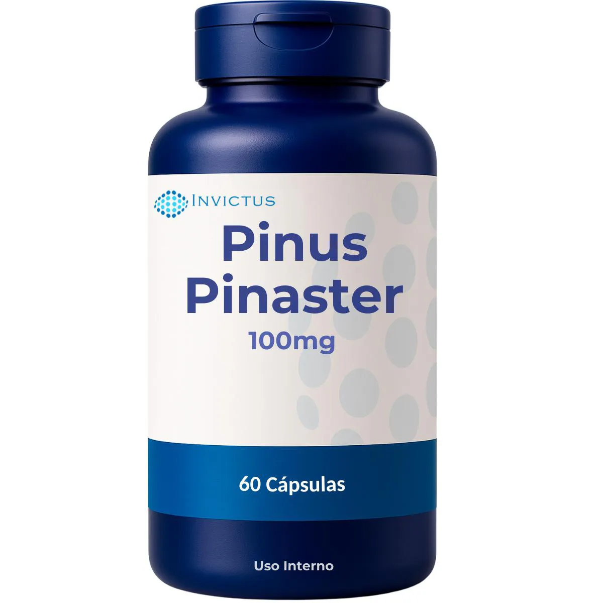 Pinus Pinaster 100mg – Antioxidante - 60 Capsulas
