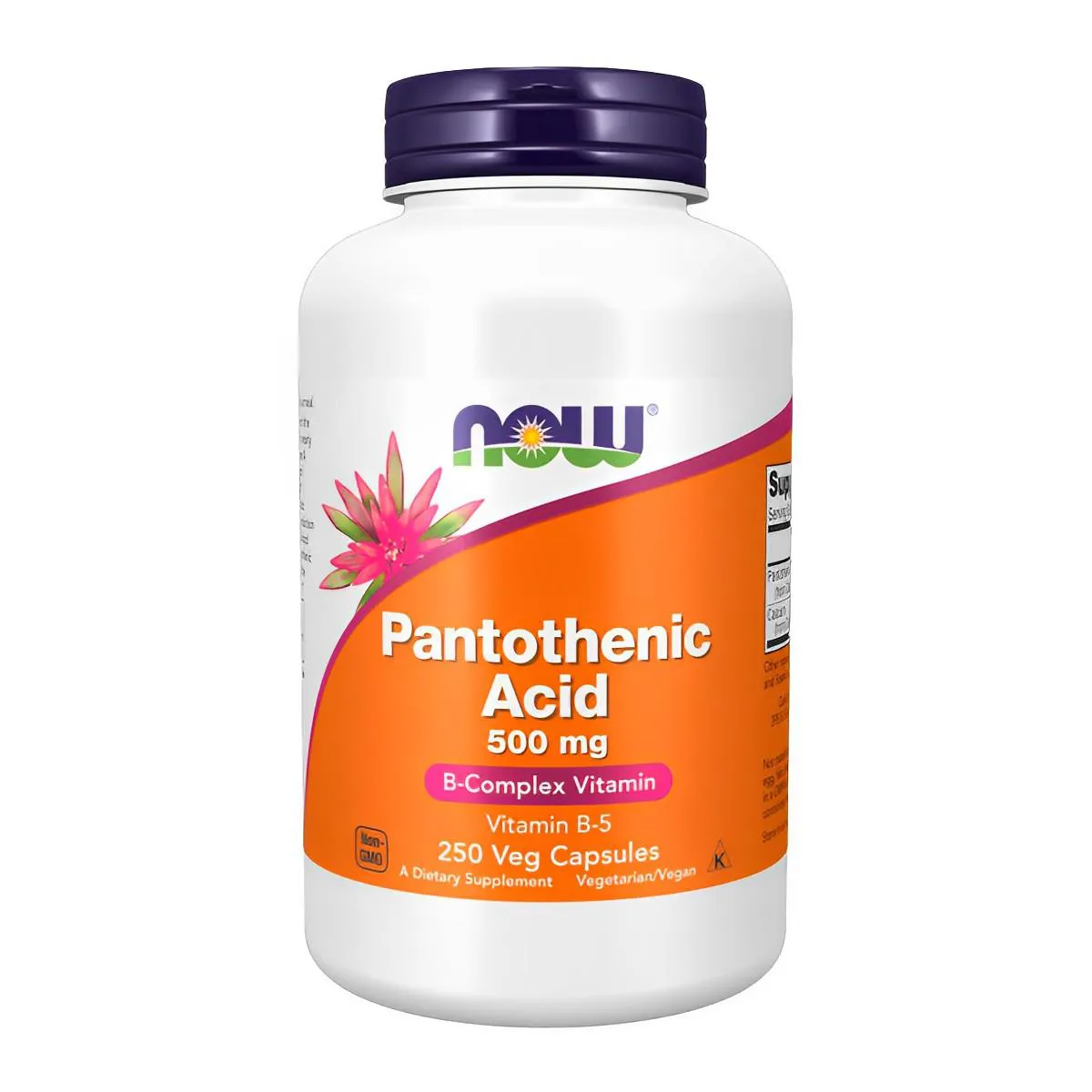 Ácido Pantotênico 500mg Now Foods 250 Cápsluas Importado