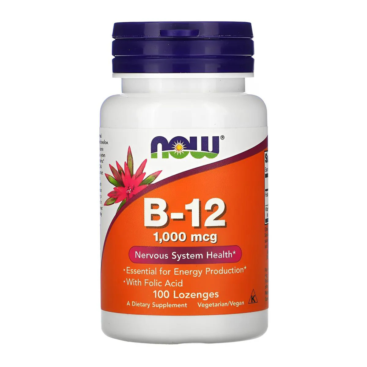 Vitamina B-12 1mg e Ácido Fólico Now Foods 100Past Importado