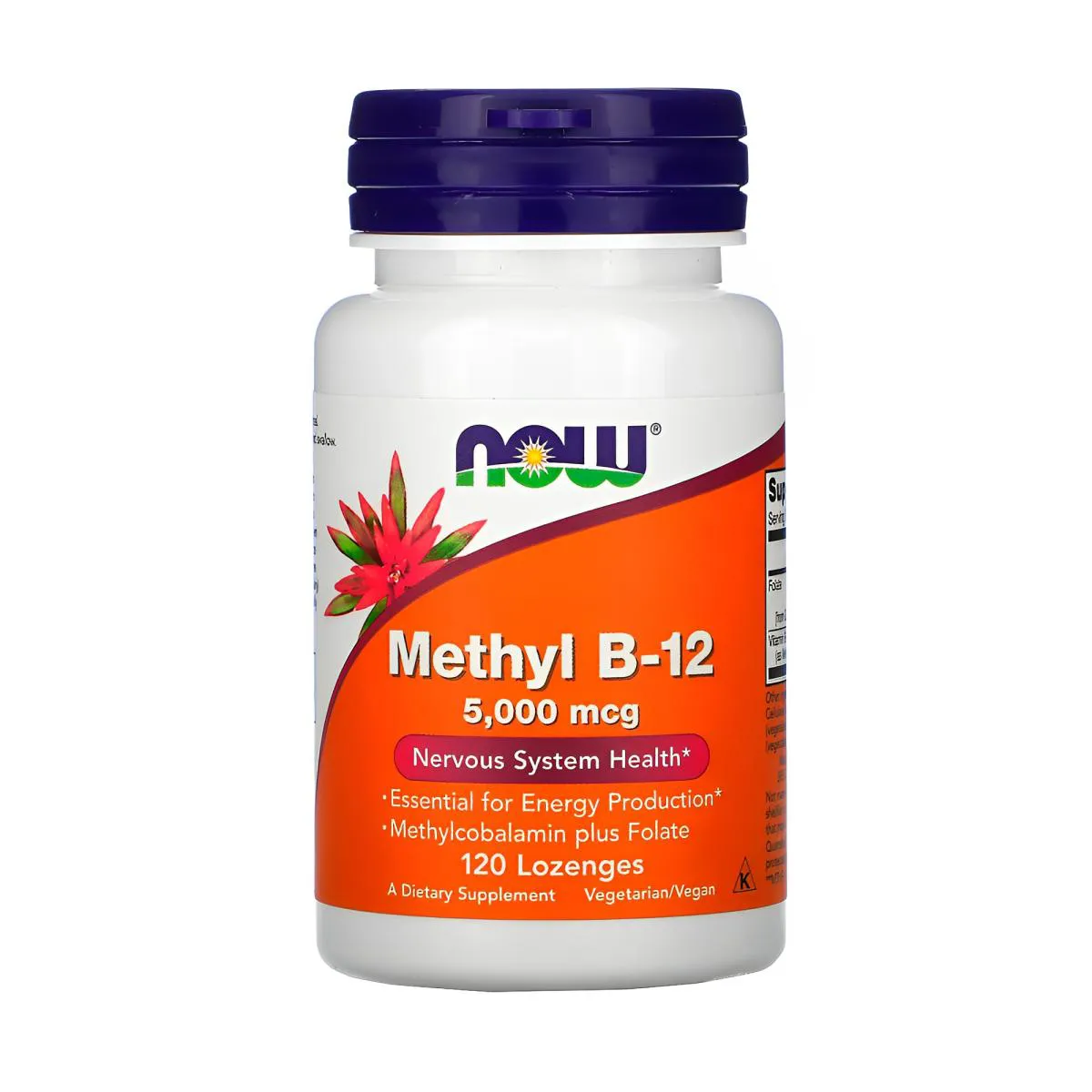 Vitamina B12 5g e Metilcobalamina Now Foods 120Pst Importado