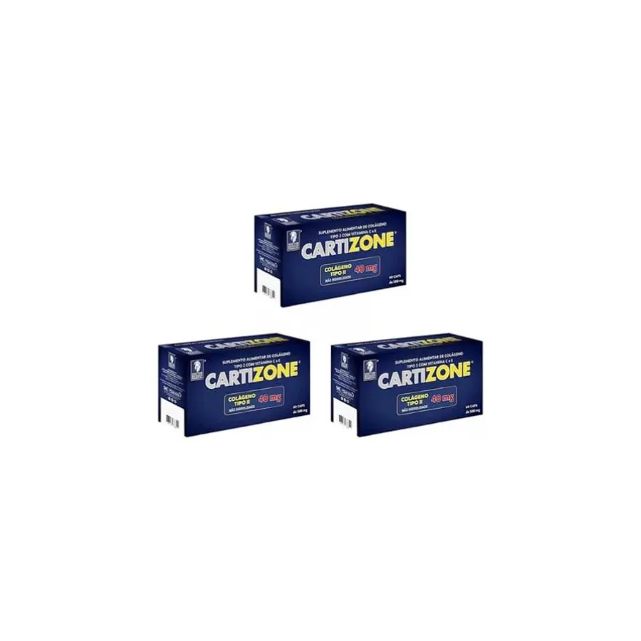 Kit 3 Colágeno Tipo 2 Com Vitamina C E 60 Cáps - Cartizone