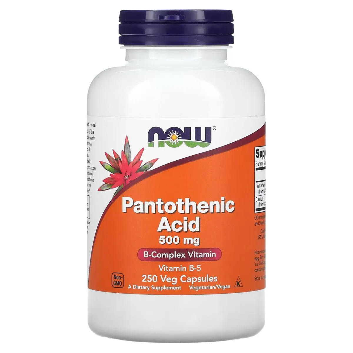 Pantothenic Acid Ácido Pantotênico 500mg 250 Vcaps Now Foods