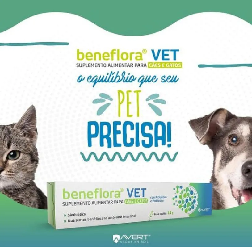 Suplemento Alimentar Artrotabs Vet 30 Comprimidos para Cães e Gatos