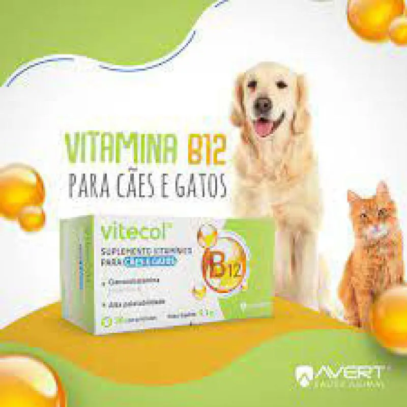 Suplemento Vitamínico Vitecol B12 com 30 Comprimidos para Cães e Gatos