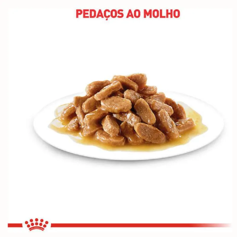 Kit 3 Sachê Royal Canin Hairball Bola Pelo Gato Adult 3X85Gr
