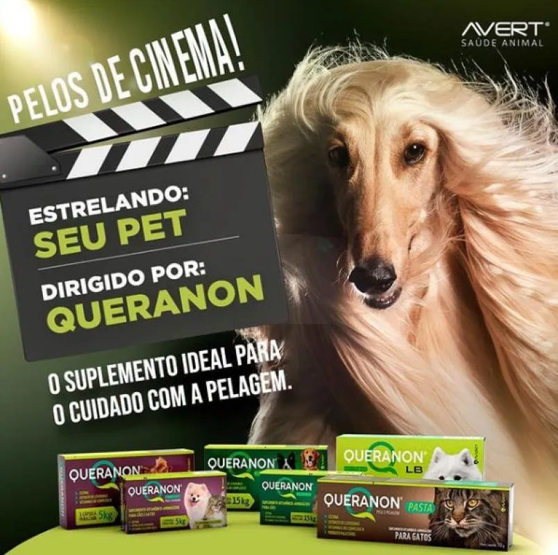 Suplemento Vitamínico Aminoácido Queranon Pasta 70Gr para Gatos