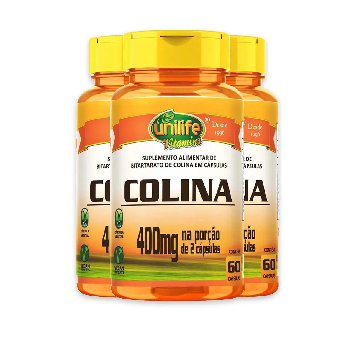 Kit 3 Colina Vitamina B8 Unilife 400Mg 60 Cápsulas
