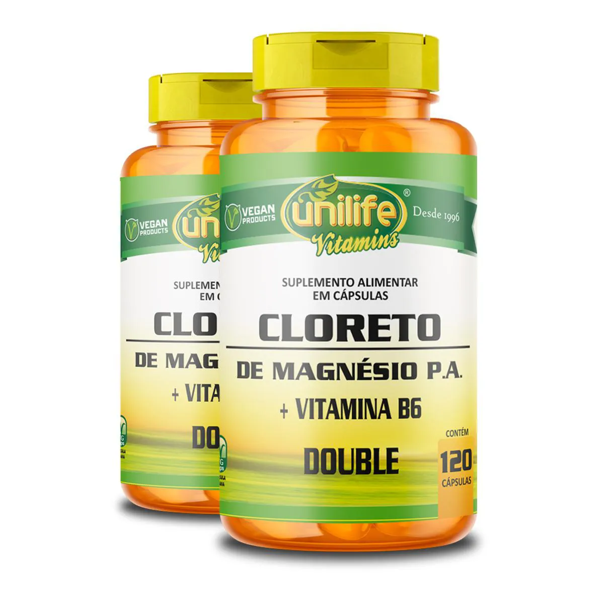 Kit 2 Cloreto de Magnésio P.a. 810Mg Unilife 120 Cápsulas
