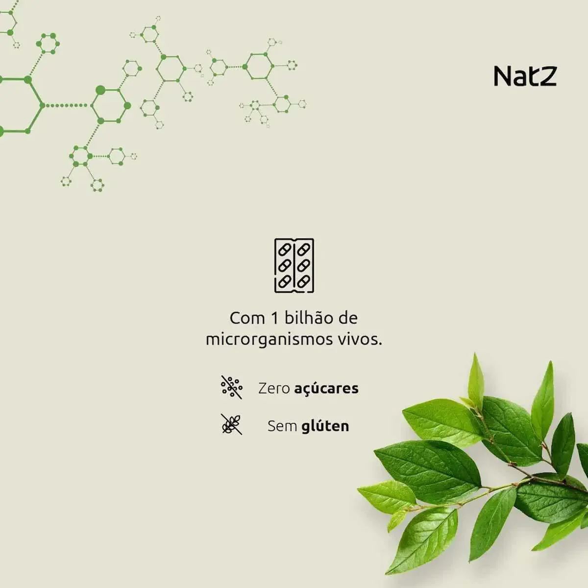 Probiótico Lactobacillus Acidophilus Natz 20 cápsulas