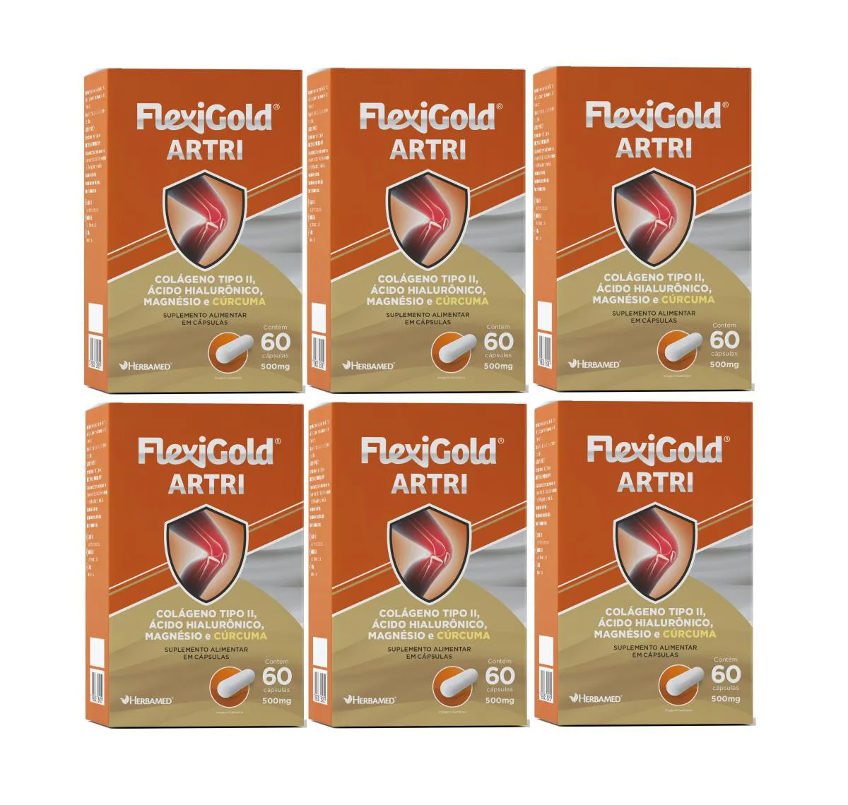 Kit 6 Flexigold Artri Colágeno Tipo 2 60 Cáp 40Mg - Herbamed