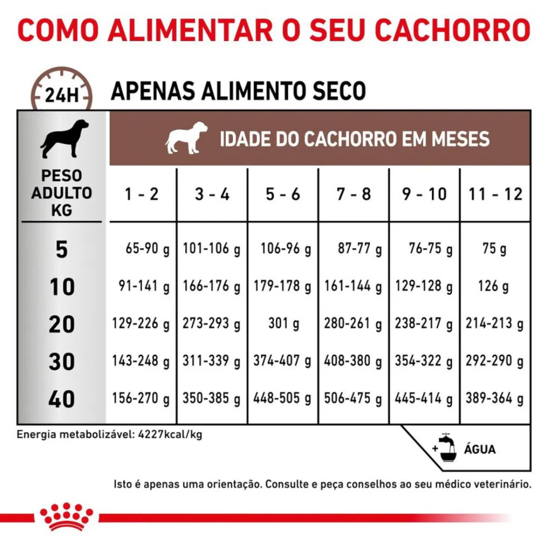 Ração Royal Canin Dieta Veterinária Gastrointestinal Puppy para Cães Filhotes 2,0Kg