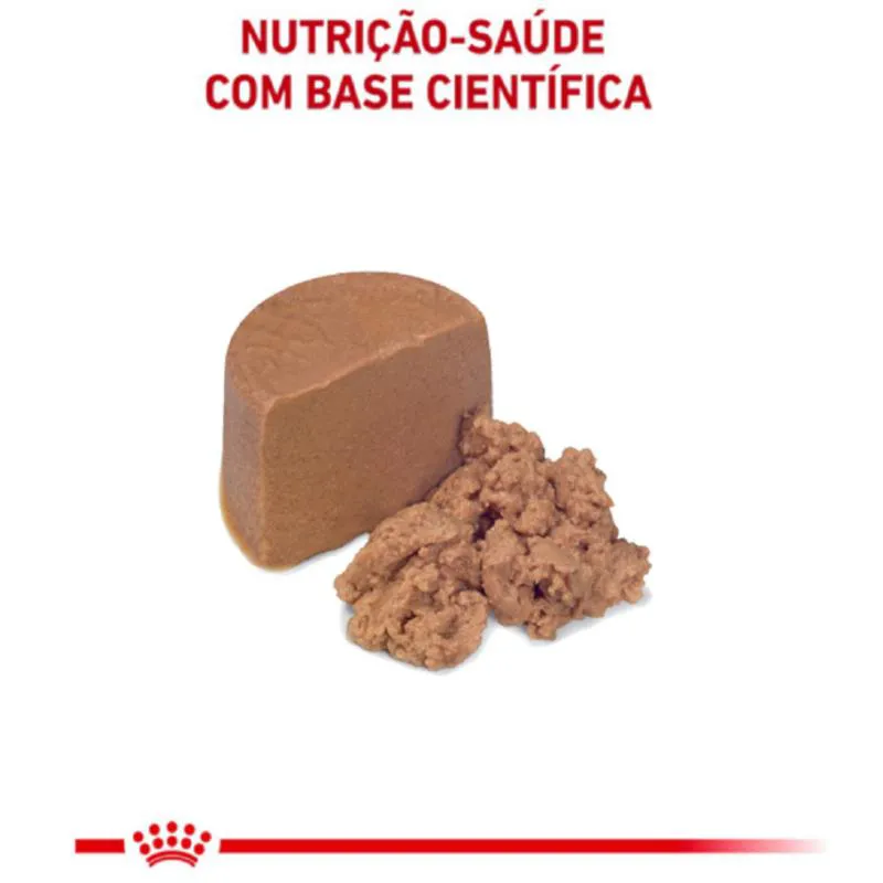Ração Úmida Lata Royal Canin Dieta Veterinária Recovery para Cães e Gatos Adultos 195G