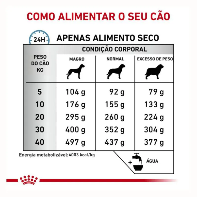 Ração Royal Canin Dieta Veterinária Anallergenic para Cães Adultos 4 Kg