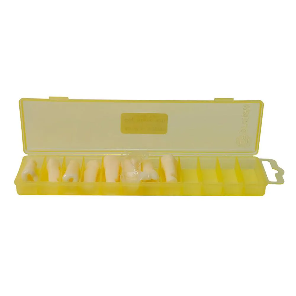 Kit de Dentes Cariados Reposição Mdt 044 Pronew