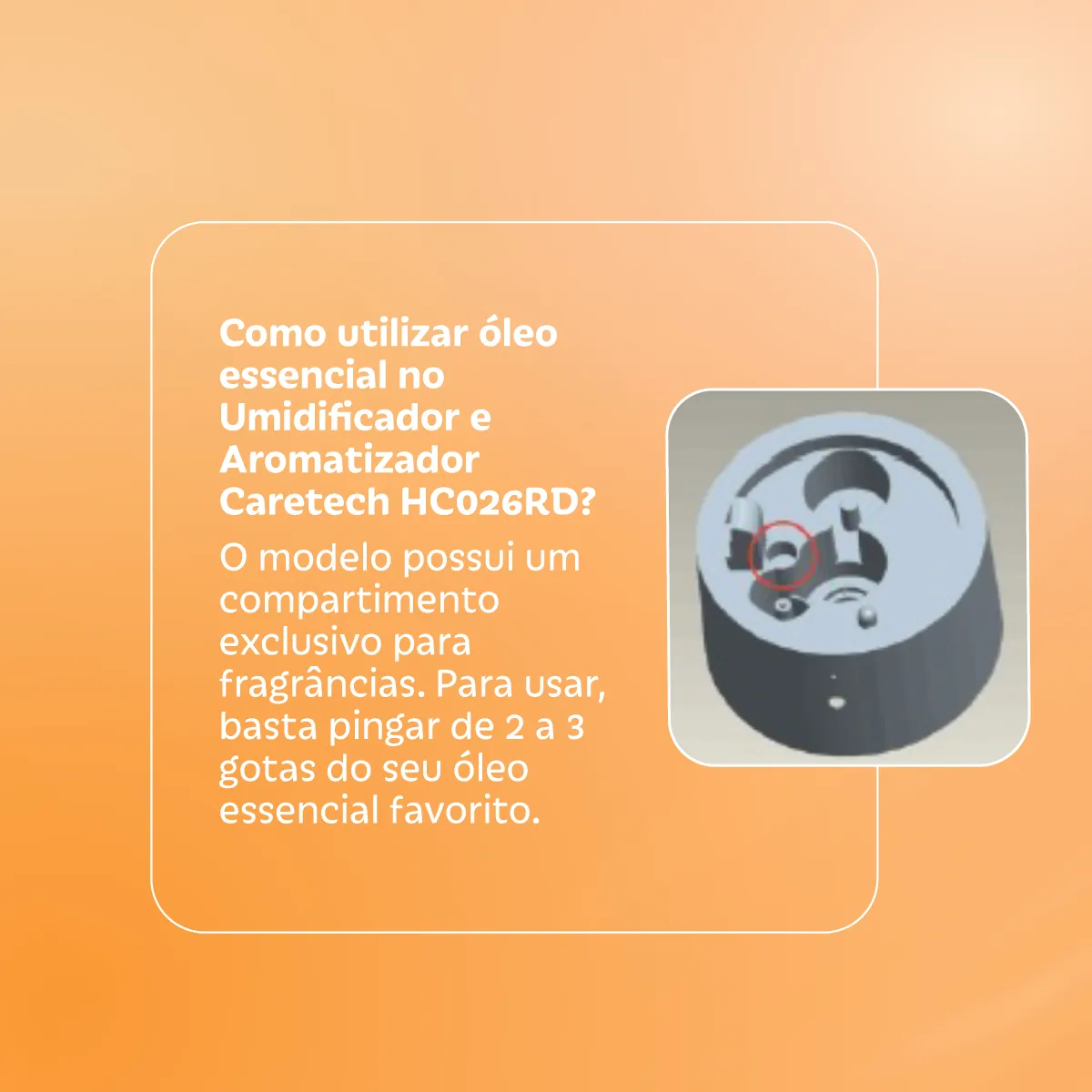 Umidificador e Aromatizador de Ar Infantil Caretech HC026RD 2,1L