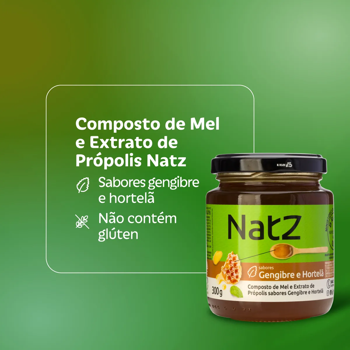 Composto de Mel e Própolis Natz Gengibre e Hortelã 300g