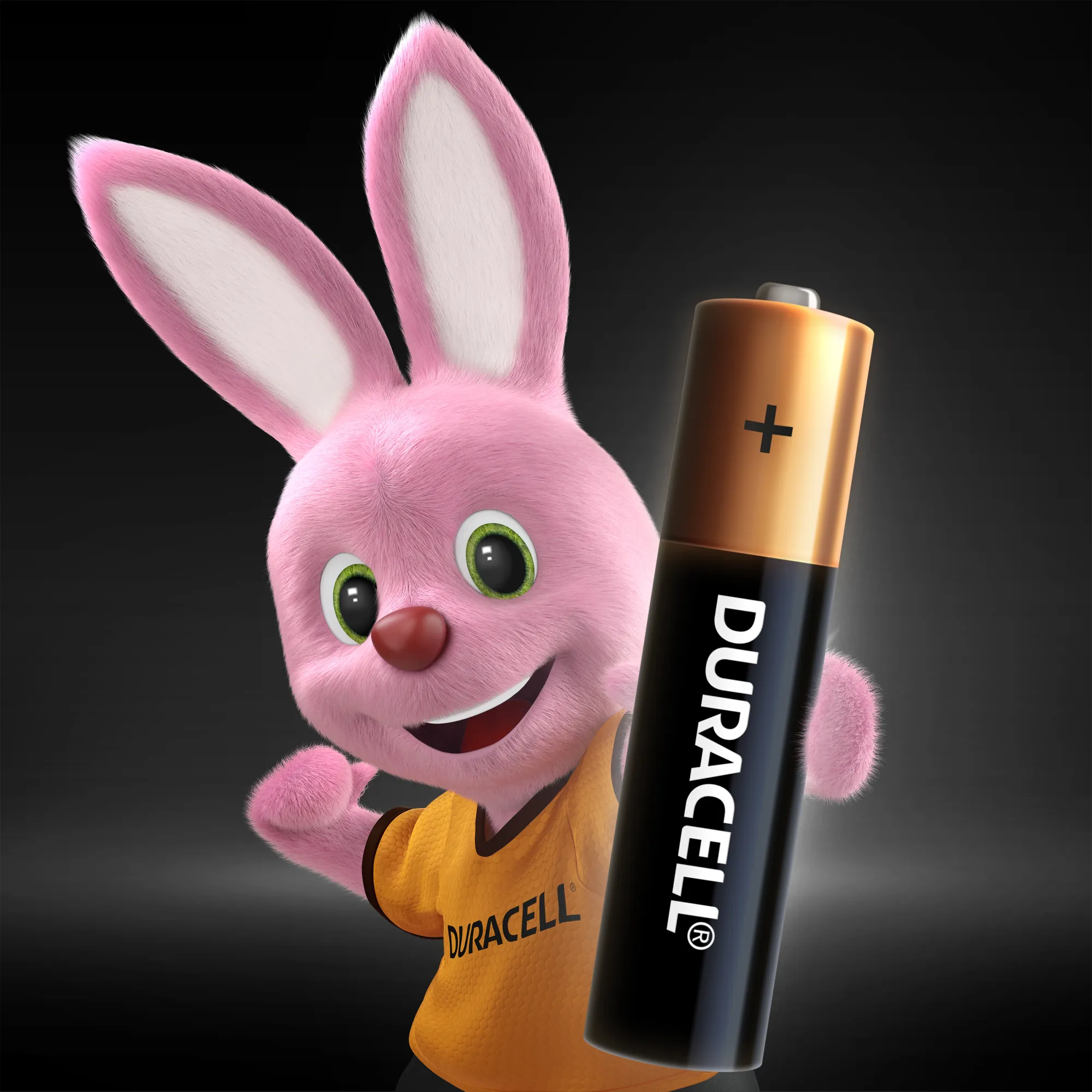 Pilha AAA Duracell Palito com 4 unidades