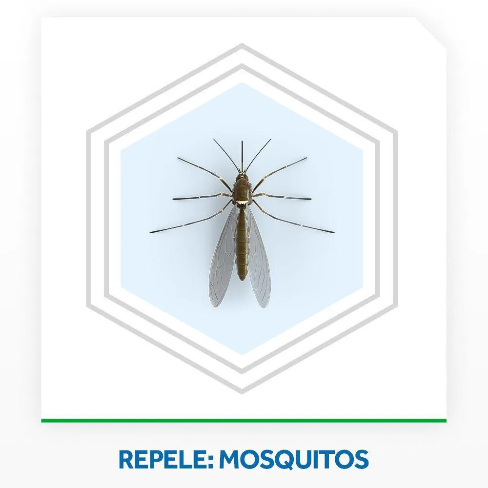 Repelente Elétrico Líquido Raid Anti Mosquitos 1 Aparelho + 1 Refil de 32,9 ml